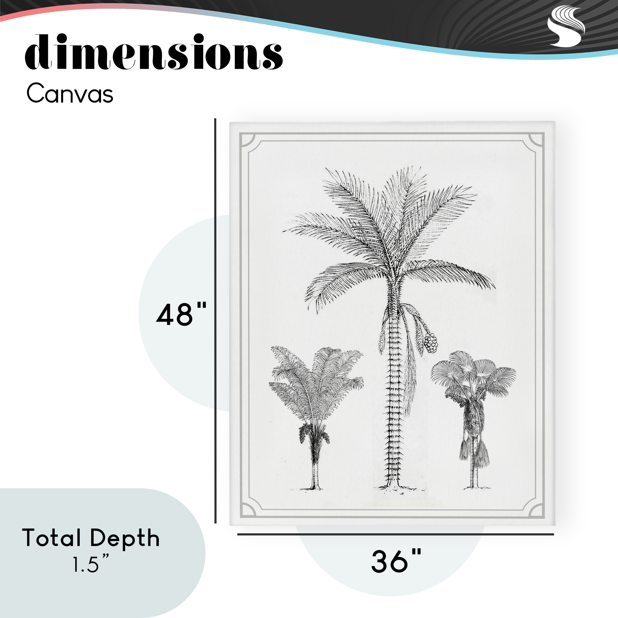 Palm Tree Trio Sketches Canvas Wall Art, design by Lettered and Lined