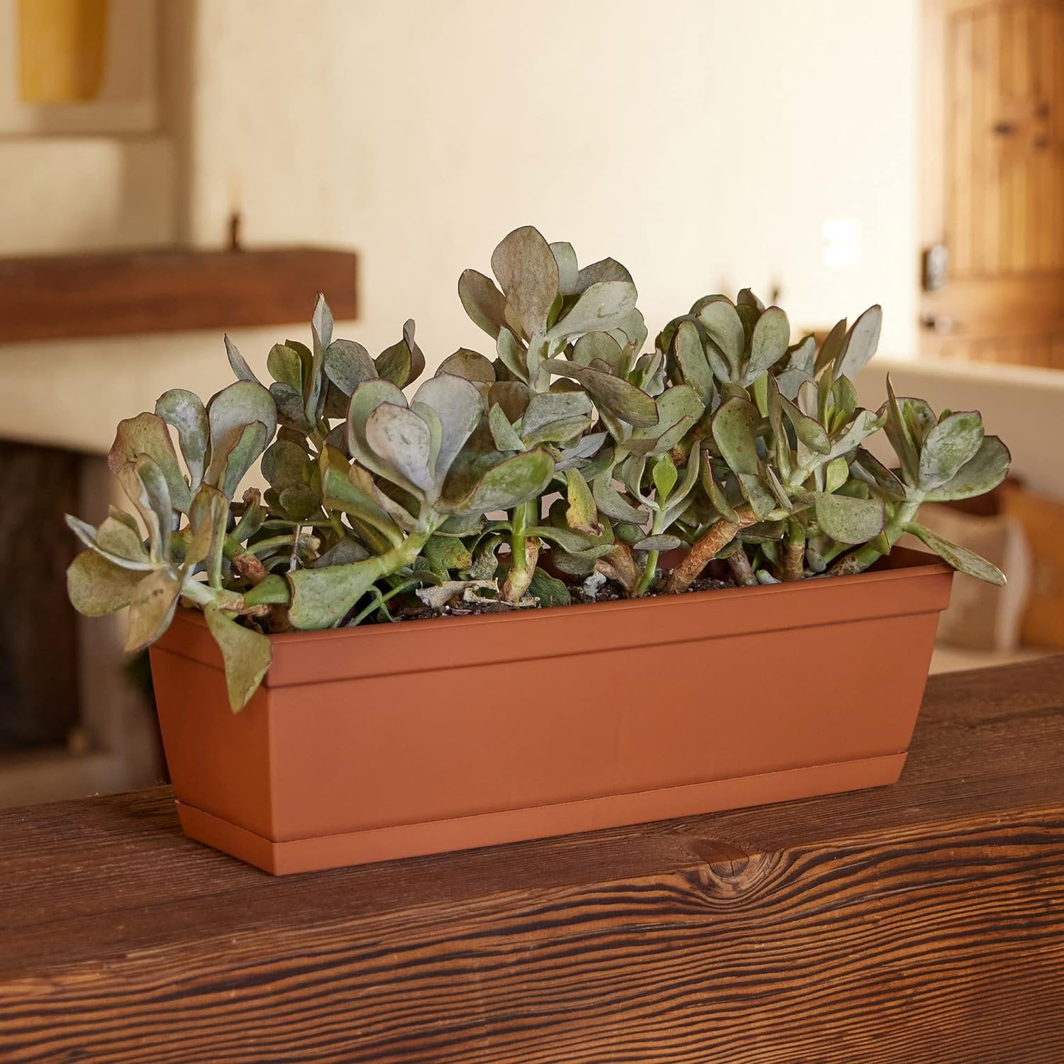 Bloem Dura Cotta 24" Terracotta Window Box Planter with Removable Tray