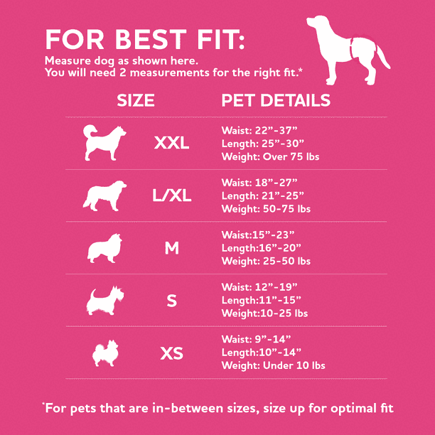 it-dogsバレリーナチュチュ　XS Vibrant Life Female Dog Diapers - XS - Walmart Business Supplies