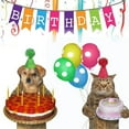 thumbnail image 3 of And Caps Happy Cat Decorative Head Hats Colorful Puppy With Photo Hat Props Pompom For Adorable Pet Dog Dogs, 3 of 6