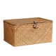 thumbnail image 5 of Caja a prueba de polvo Wosthever apertura grande respetuosa con el medio ambiente fibra 26*14*11 CM 2Conjunto, 5 of 6