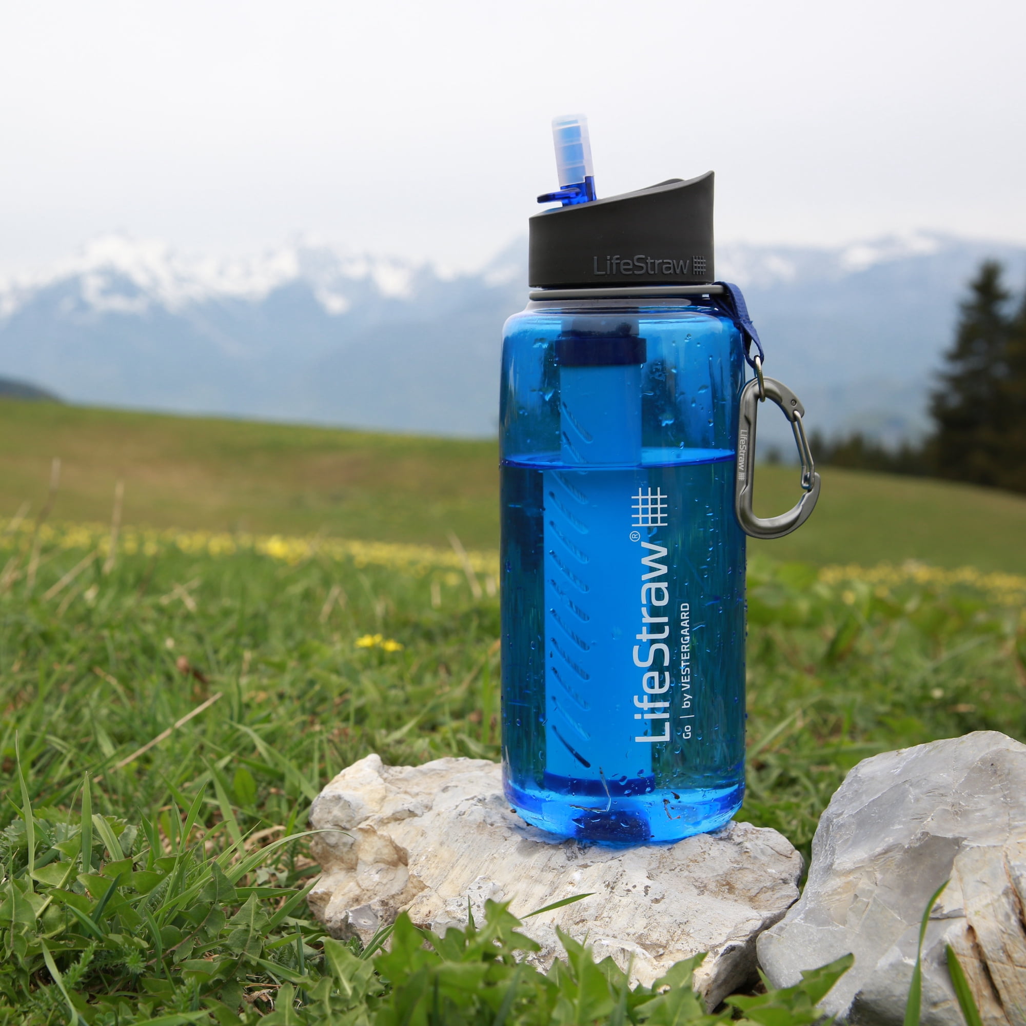 LifeStraw Go 1L Water Filter Bottle for Hiking, Travel, School and  Emergency Prep, Clear 