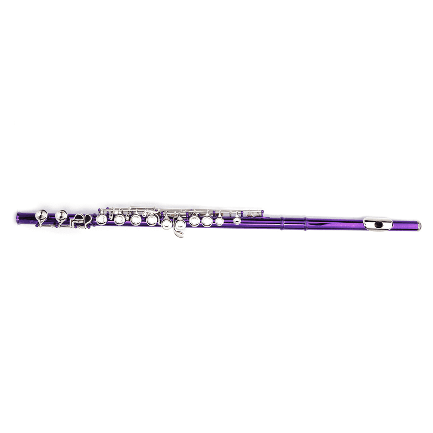 Hassch C Flute 16 Closed Hole for Beginners with Case, Cloth, Screwdriver, Lubricant and Cleaning Rod, Purple