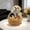 A-Beige, Yellow, variant on Ciphrias Shiba Inu Dog Statue With Basket, 7.49 Inch Orange Resin Puppy Figurine Entryway Decor