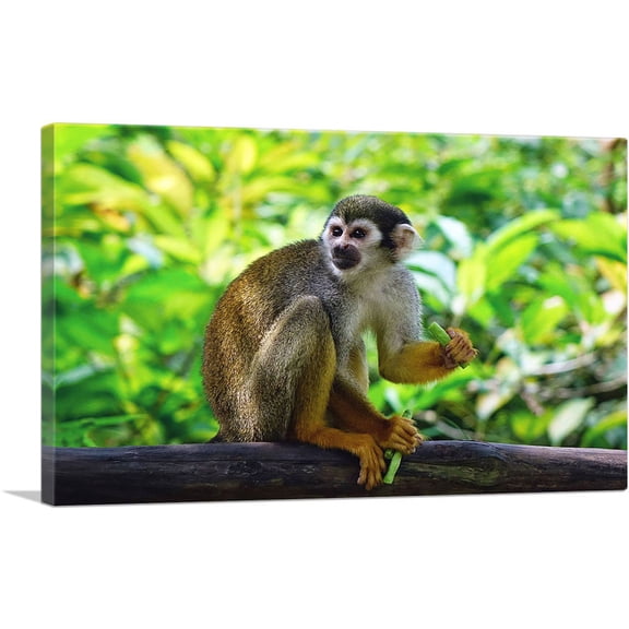 ARTCANVAS Monkey In The Jungle Home decor Canvas Art Print - Size: 12" x 8" (0.75" Deep)