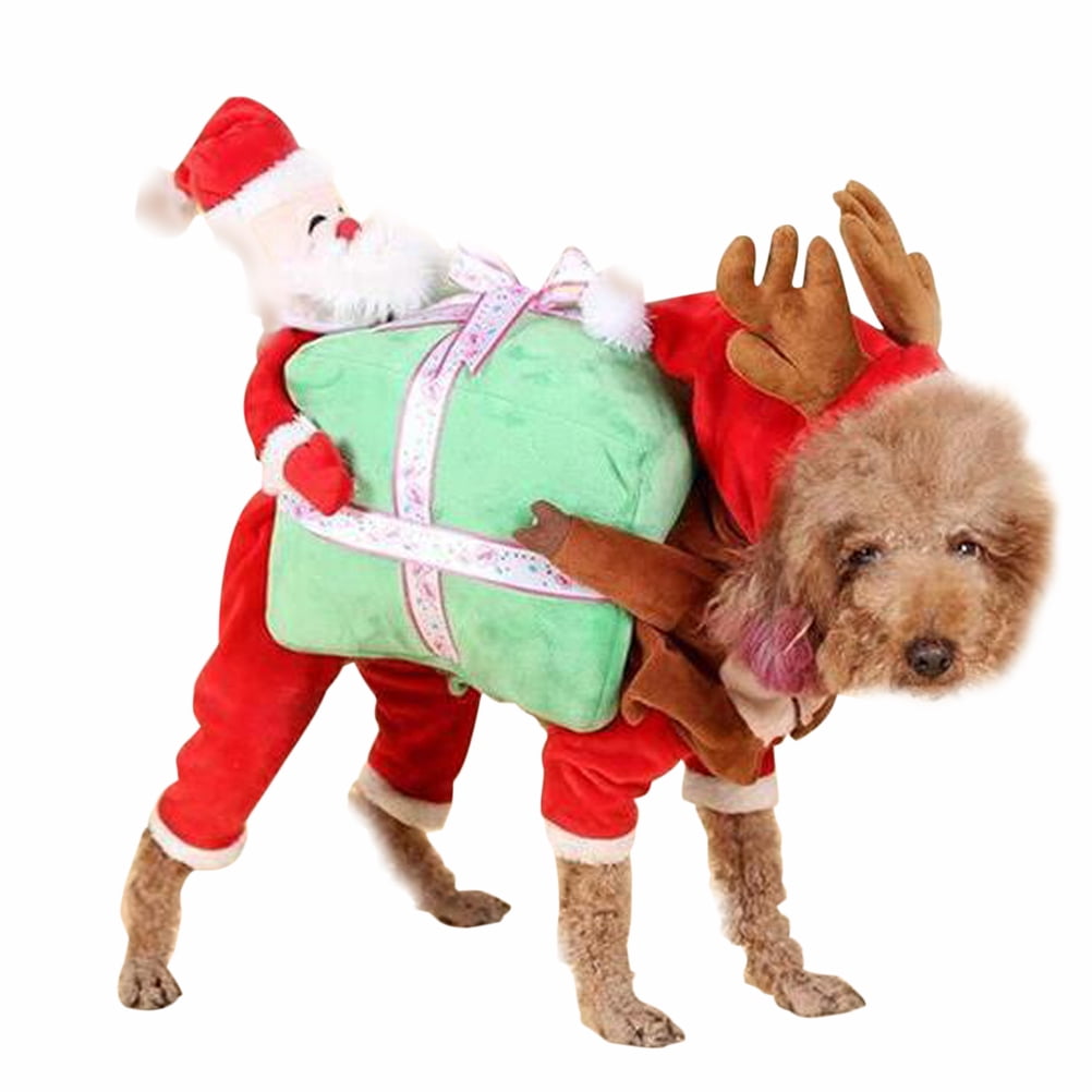 dog fancy dress christmas