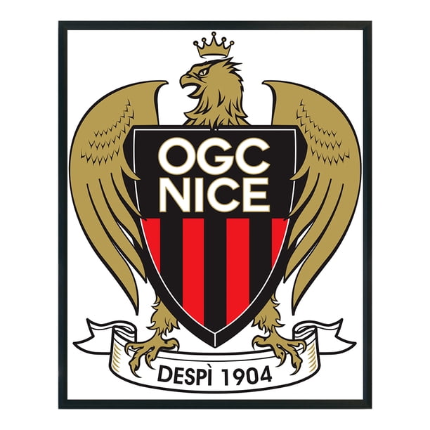 Cuadros Decorativos OGC Nice Football Team punto de cruz parcial 11CT hilo de algodón DIY impreso Kits Wdftyju embutido en tela