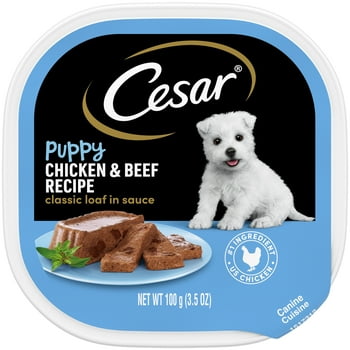 CESAR Classic Loaf in Sauce Chicken & Beef Flavor Wet Dog Food for Puppy, 3.5 oz. Tray