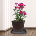 thumbnail image 4 of unbranded 8Ud Bandejas Para Plantas En Plástico Durable Para Recoger En Macetas, 4 of 7