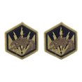 thumbnail image 1 of 336th Military Intelligence Brigade OCP Patch (Military Issued)-Veteran Owned Business-2 Pack, 1 of 3