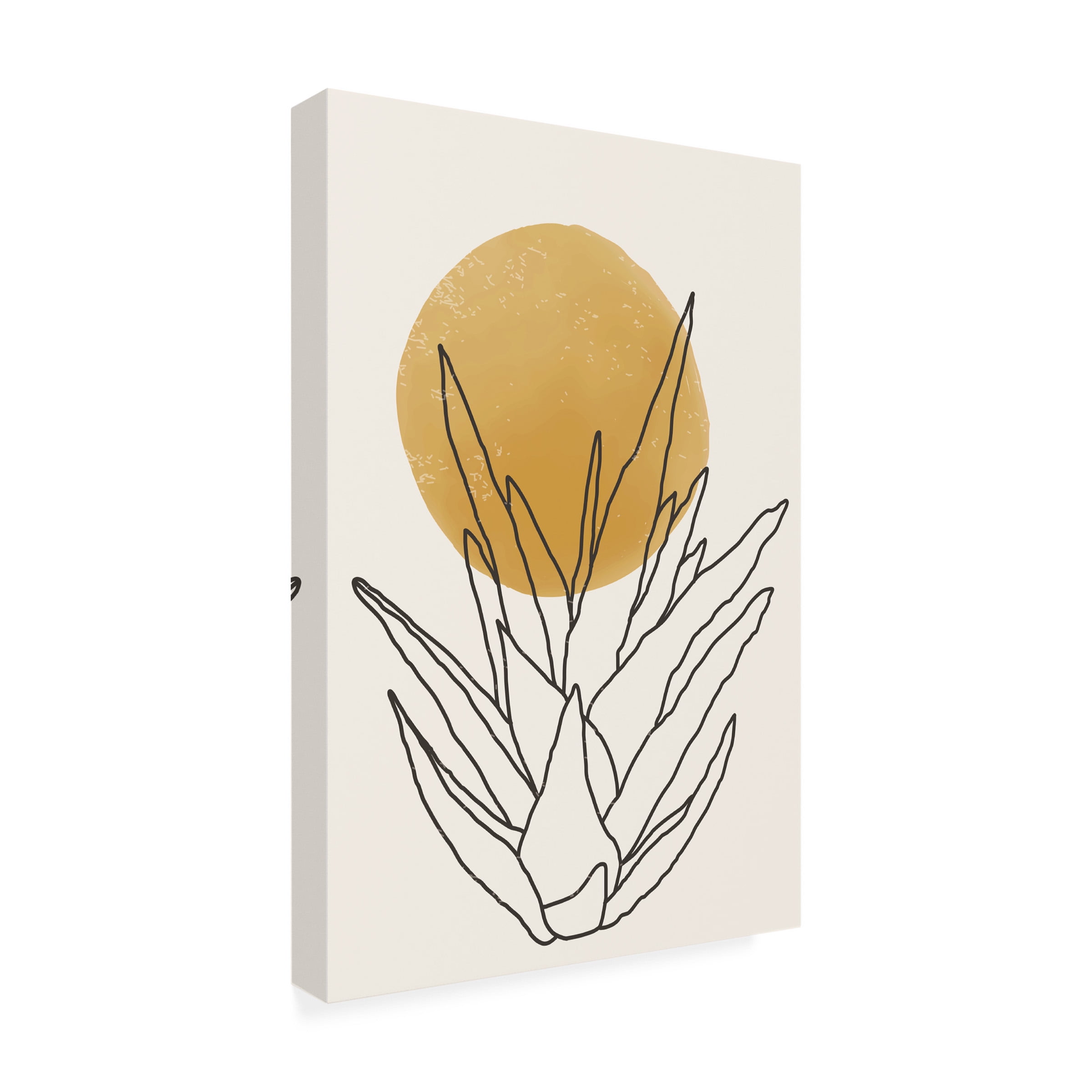jay stanley 'Abstract Agave Sunshine 3' Canvas Art