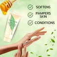 thumbnail image 3 of Green Tea Honey Drops Body Cream for Women  3.3 oz, 3 of 8
