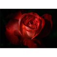 thumbnail image 1 of Posterazzi DPI1832227 Affiche Rouge Foncé, 17 x 12, 1 of 1