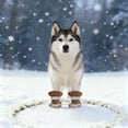 thumbnail image 3 of All Weather Protective Pet Boots with Soles and Reflective for Outdoor Adventures, 3 of 4