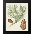 thumbnail image 2 of Unknown 20x24 Black Modern Framed Museum Art Print Titled - Antique Pine Cones III, 2 of 5