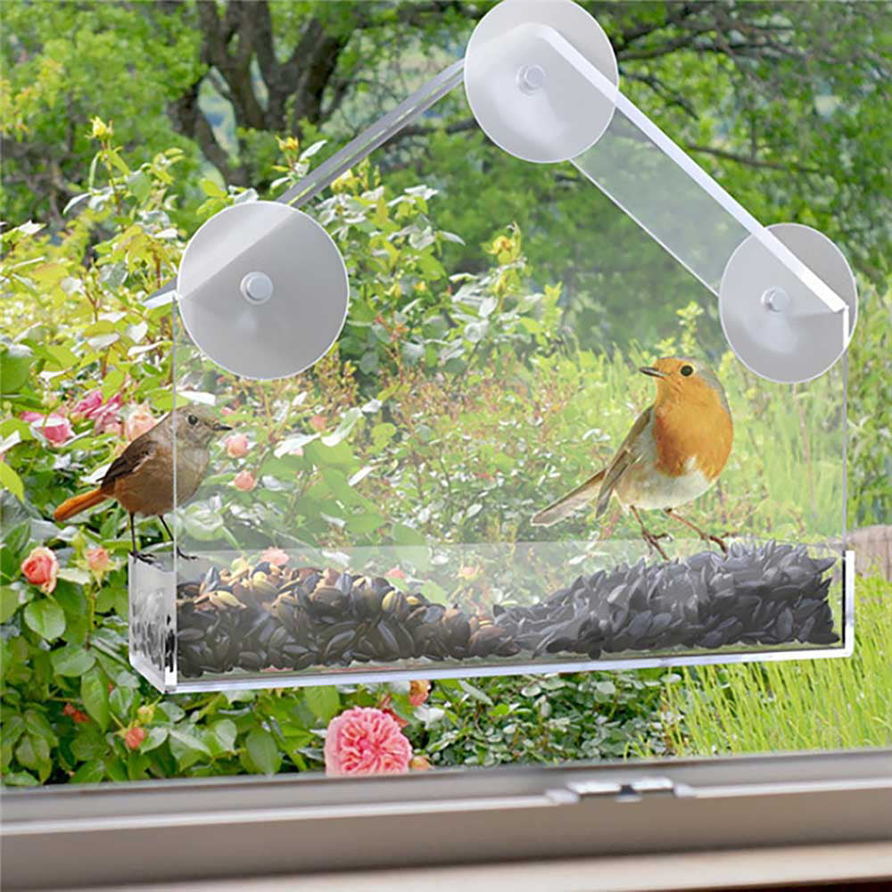 Acrylic Bird Seed Feeder Tray Birdhouse Window Suction Cup Hanging Clear #4 