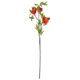 thumbnail image 1 of HOMEMAXS 1 pieza de simulación de rama de granada, arreglo floral para el hogar, decoración de flores (naranja) HOMEMAXS 9256156, 1 of 6