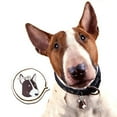 thumbnail image 4 of Flmtop Anti-Lost Pet Dogs ID Tag Collar Nameplate Pendant Key Chain Ring Bag Ornament 13#, 4 of 9