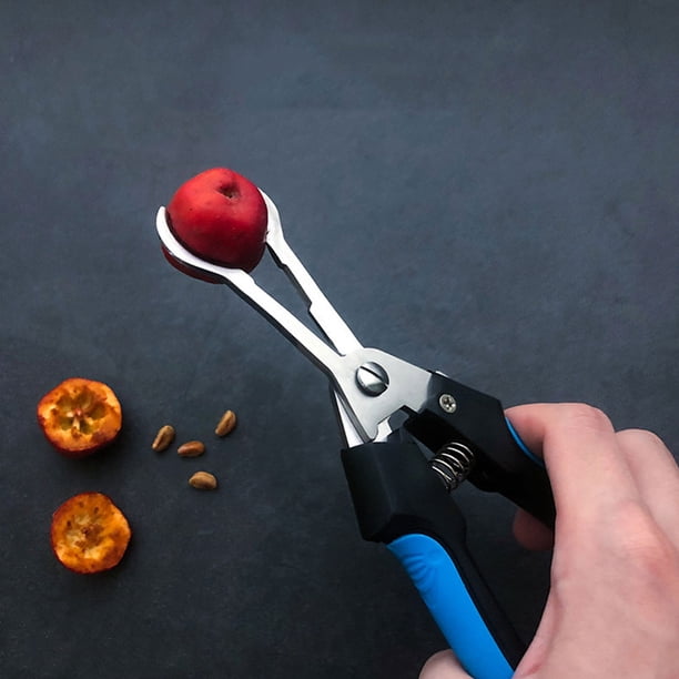 Nestingho Fruit Pitter Azul Para Cocina Duradero Y Práctico Con Mango Cómodo Y Fácil De Usar