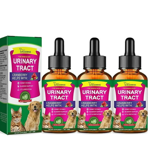 Medication for urinary tract infection in dogs hot sale