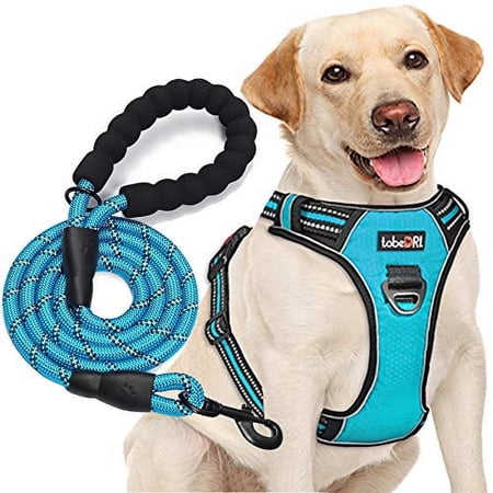 tobeDRI No Pull Dog Harness Adjustable Reflective Oxford Easy Control Medium Large Dog Harness with A Free Heavy Duty 5ft Dog Leash (M (Neck: 14.5"-20.5", Chest: 22"-28"), Blue Harness+Leash)