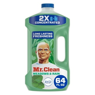 Mr. Clean Kitchen Spray, Multi-Surface Antibacterial Cleaner