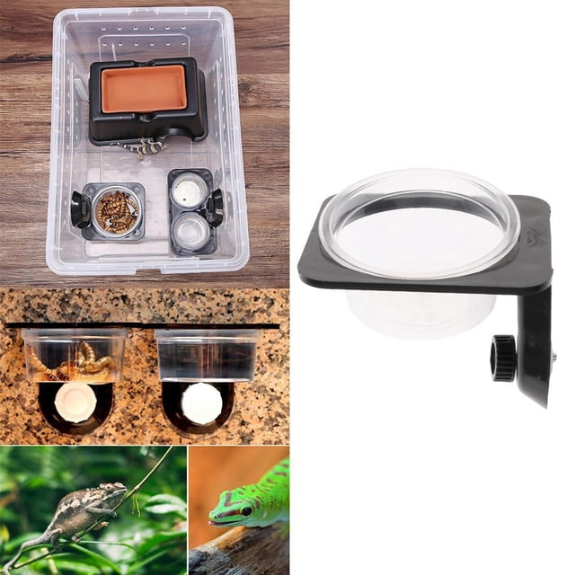 De Mascotas De Alimentación Alimentos Tazón De Agua Tortuga Tortuga Rana Terrapina Gecko Serpiente Bandeja De Cría Colco Tazón de alimentación de reptil de mascota