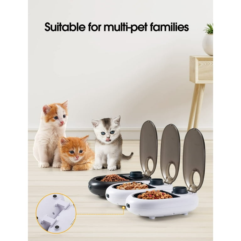 Automatic cat feeder clearance with ice pack