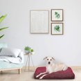 thumbnail image 3 of vibrant life 36.x30in medium size, pillow dog bed, 3 of 4