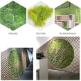 thumbnail image 4 of Decoración de pared de musgo conservado Musgo conservado real Sin mantenimiento, 4 of 5
