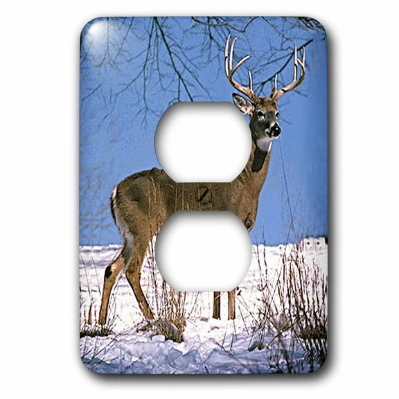 3dRose, White Tailed Deer, 2 plug outlet cover