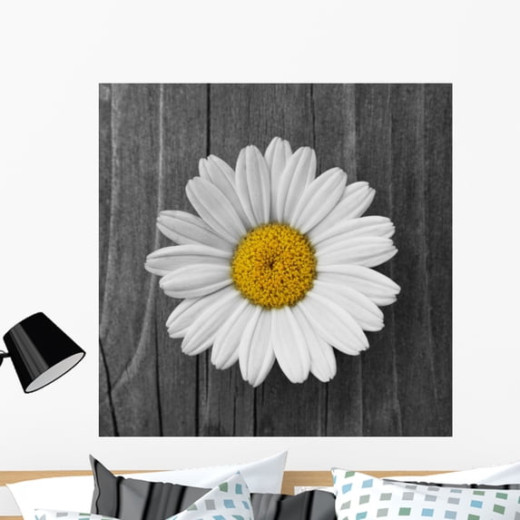 Daisies Flower Wood Wall Mural by Wallmonkeys Peel and Stick Graphic (36 in H x 36 in W) WM34950