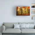 thumbnail image 2 of Trademark Fine Art Philippe Sainte-Laudy Brilliant Fall Color Canvas Wall Art - 16x24, 2 of 5