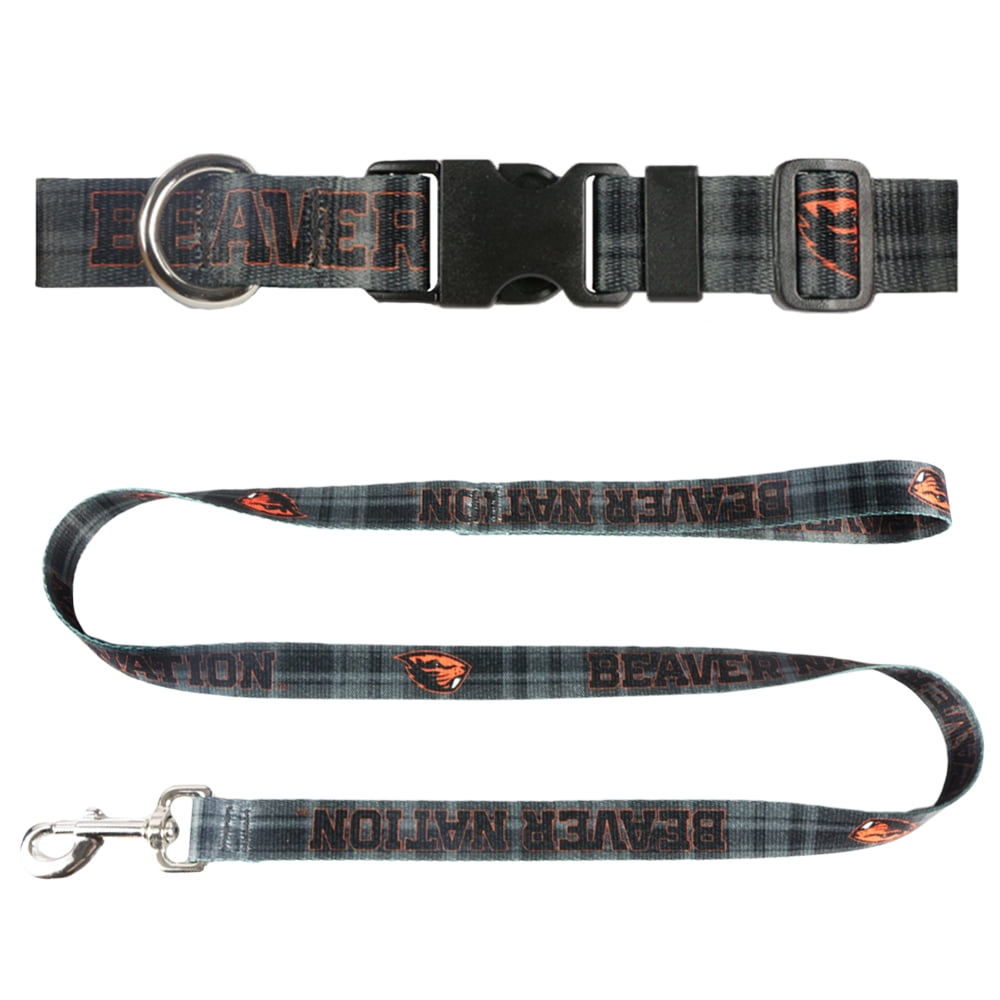 matching dog collar and belt