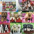 thumbnail image 5 of Ravensburger Dogs Galore 500 Piece Jigsaw Puzzle, 5 of 5