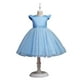 thumbnail image 1 of Vestido Para Niñas Ropa Para Niñas Bebés Falda Larga Sólido Princesa Bowknot Vestido De Rendimiento Vestido De Falda Azul Claro Odeerbi  LM103-4920, 1 of 9