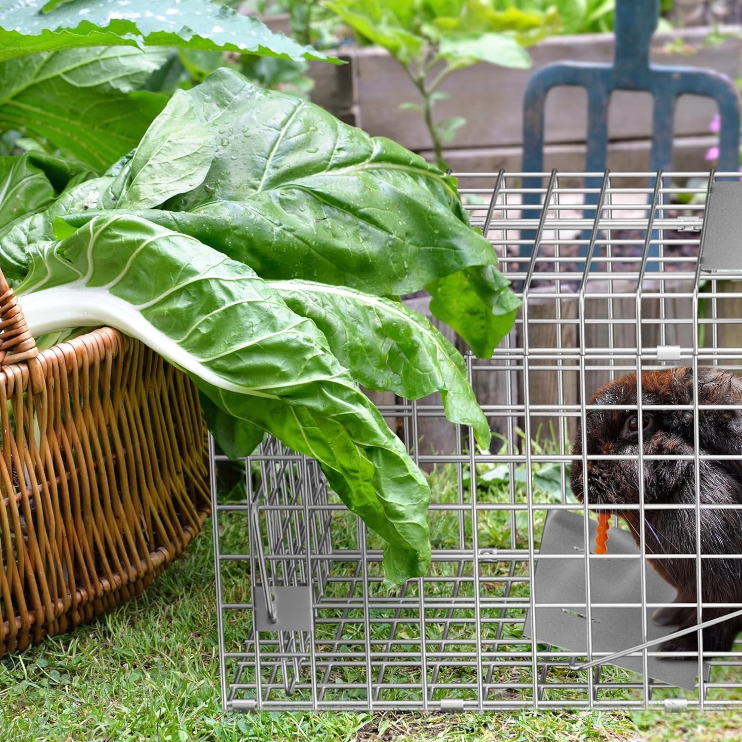 ANHXN Humane Live Animal Cage TrapSteel Catch Release Rodent Cage for Rabbits, Groundhog, Stray Cat, Squirrel, Raccoon, Mole, Gopher, Chicken, Opossum, Skunk, Chipmunk