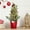 style 2, variant on HioHa Pre-Lit Mini Christmas Tree 18 Inch - Small Tabletop Artificial Tree with Lights for Indoor Holiday Decor