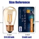 thumbnail image 3 of Luces exteriores, bombilla LED E27 con rosca Edison, bombilla de repuesto de filamento LED de 1 W para LED S14 ST45, 2200 K, blanco cálido, vidrio ámbar equivalente, no regulable, paquete de 15 [Clase de eficiencia energética A++] brillar Electrónica, 3 of 5