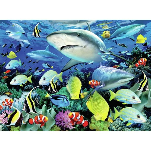 Royal Brush Pjl 42 15 25 X 11 25 In Junior Large Paint By Number Kit Reef Sharks Walmart Com Walmart Com