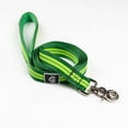 thumbnail image 3 of Alpha Pak - Classic Adventure Flat Dog Leash, 3 of 5