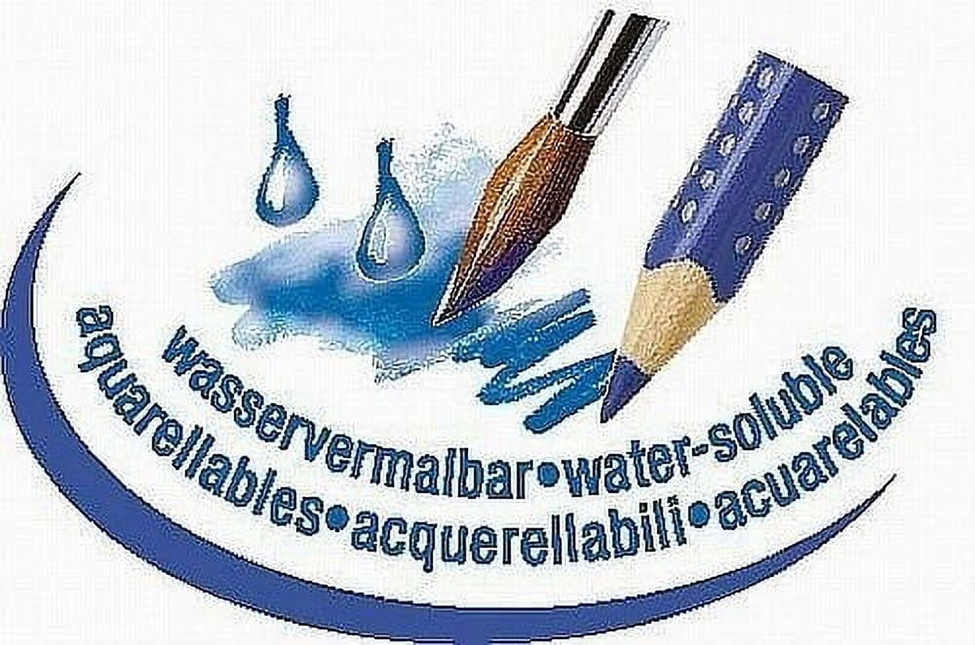 Faber-Castell Albrecht Durer Watercolor Pencils Tin Set of 60 - Assorted Colors