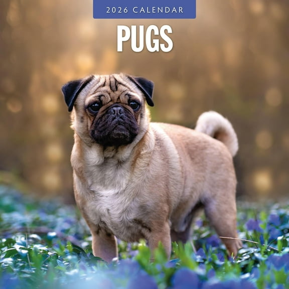 Red Robin 2026 Pugs Monthly Wall Calendar | 12" x 24" Open | Premium Thick & Sturdy Paper | Hangable 12 Month Calendar | Lined Notes & To Do Area | Vivid Images | Plastic Free