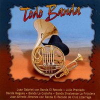 VARIOUS ARTISTS - TODO BANDA