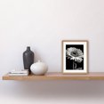 thumbnail image 2 of Black and White Pencil Drawing of a Gerbera Flower Artwork Framed Wall Art Print 9X7 Inch, 2 of 5