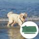 thumbnail image 3 of Abrigo seco para perros - Bolsa para perros de secado rápido - Toalla albornoz para perros - MicrofibraCape GreenXS, 3 of 5