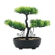 thumbnail image 3 of Bonsái Artificial Planta Falsa Decorativa Bonsái Mesa Potted PP Apariencia Natural Fácil Cuidado Adecuado para Oficina Dormitorio Escritor, 3 of 9