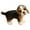 E, variant on nTRIUQJ Lifelike Toy Dog Realistic Stuffed Animal Soft Cuddly Puppy Doll for Kids A