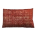 thumbnail image 1 of Ahgly Company Outdoor Rectangular Contemporary Lumbar Throw Pillow, 13 inch by 19 inch, 1 of 5