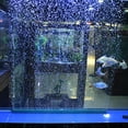 thumbnail image 4 of 3Pcs Reusable Air Stone Bar, Bubble Bar, Plastic For Aquarium For Fishing, 4 of 8